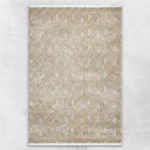 Aston villa rugs